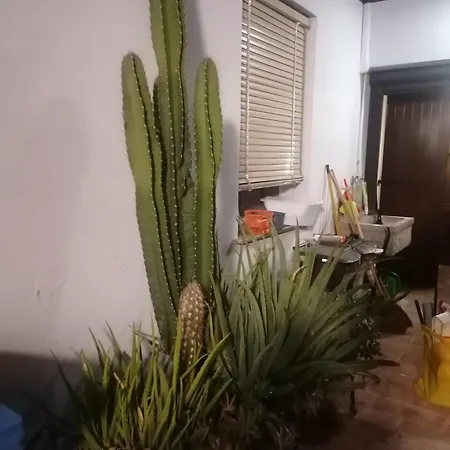 Il Giardino Dei Pico *